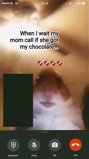 ... #calling_hamster