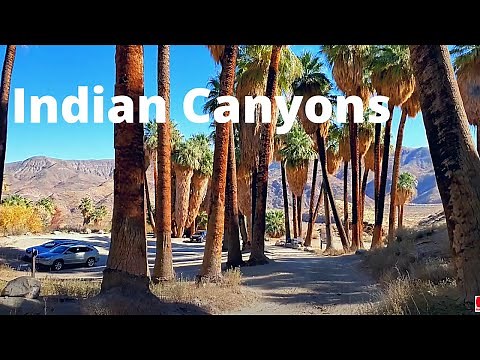 Walking around Indian Canyons, Palm Springs, CA [4K]
