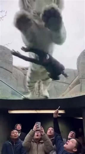 Incredible AI Animal Compilation Video