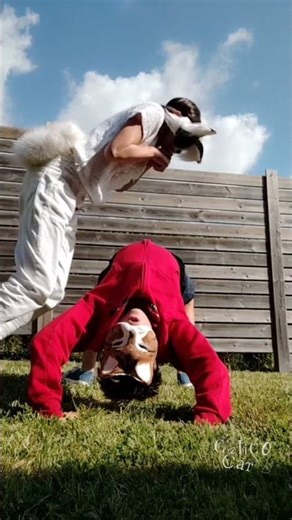 jump over my cousin #therian #jump #quadrobic #otherpaw #altherhuman