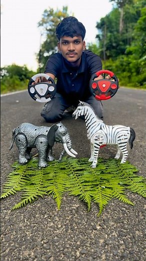 Remote control 1 Ta Elephant 🐘 and Zebra 🦓 Ke Unboxing 🥹