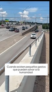 839K views · 229K reactions | Cuando hay pequeños gestos que haces creer en la humanidad #parati #foryou #fyp #viral #rescate #perros #dog #humanidad #fé #mensaje #reflexão #reflexiones | Alvaro Roque Molina | Facebook