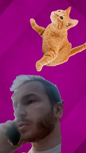 19K views · 118 reactions | Après Brad, le chat..  . . . #humour #reel #viral #bradpitt #brad #pitt #anne | Arnaud Iedama | Facebook