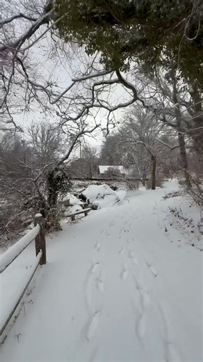 Brewster, Massachusetts Cape Cod | Cape Cod, Massachusetts