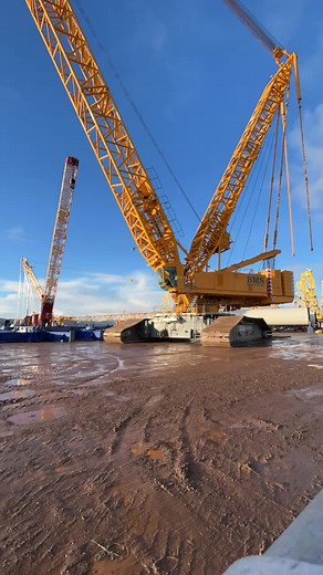 Heavy Equipment Operation: The Power of Liebherr Cranes