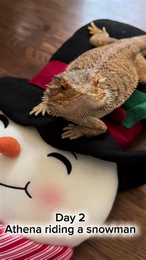 Day 2 Athena riding a snowman