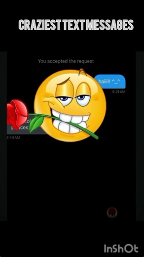 craziest text messages #auracat #nobatidao