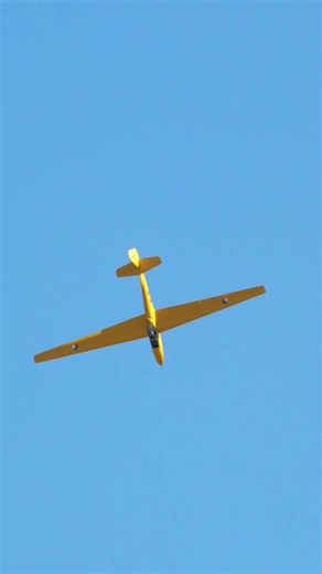 LF-107 Luňák | GLIDER AEROBATICS | David Jágr #gliders #aerobatics #aviationcz