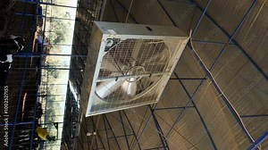 Modern Dairy Farm Operations: A Close Look at Cattle Care