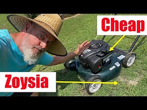 Cheap Lawn Mower - Zoysia Lawn Planting