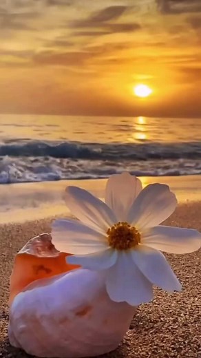 caimi oficial on TikTok