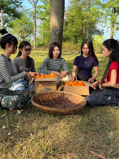 Cooking yummy oranges recipe and eat