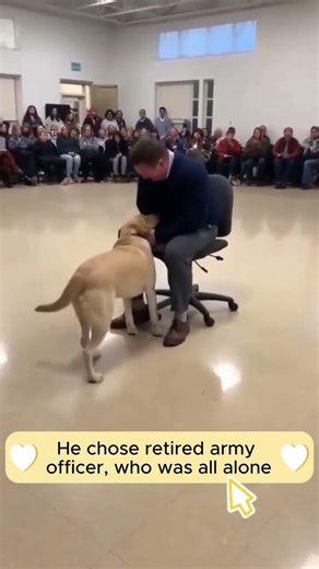 Shelter Dogs Selected Their Own Families #emotional #adoption #rescue