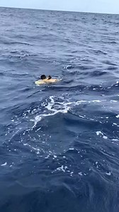 水深38mでアーラミーバイ、トップ炸裂でした。 | LOOP Fishing Guide Service