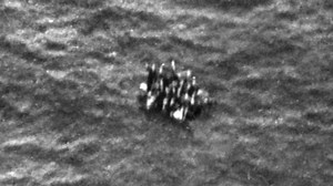 The 75-year mystery behind this haunting picture