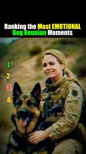 Top 4 Dog Reactions When Soldiers Return Home 🐶❤️