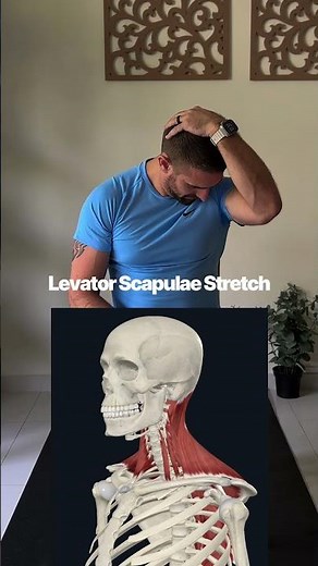 Levator Scapulae Stretch