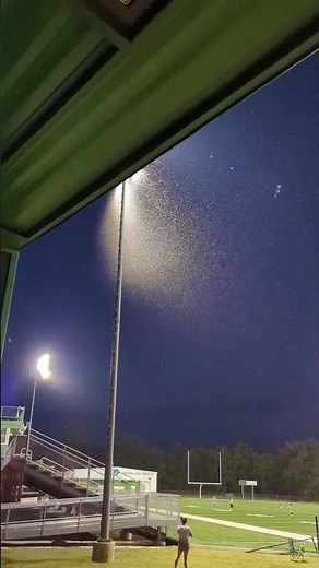 Swarms of flying bugs spotted across Arkansas