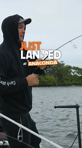 1M views | Ready to out fish them all? Gulp!’s new Zagger and the Nitro Zipper Jighead deliver next-level action and strike power. Available now at Anaconda. | Anaconda Stores | Facebook