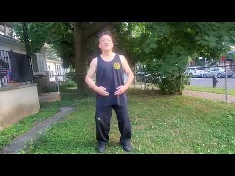 (Video #83) Qi Gong Zhan Zhuang Postures Instructional: Wu Ji Posture and 8 Positions