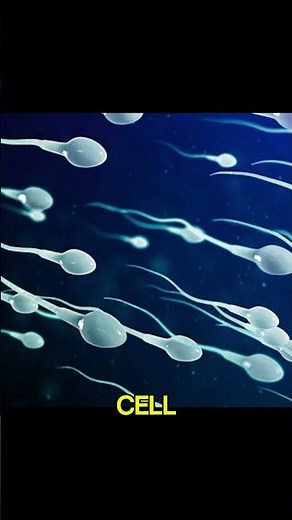 Some Humans Are Born with a Tail! 🧬👶🐒 #facts #science #factpule