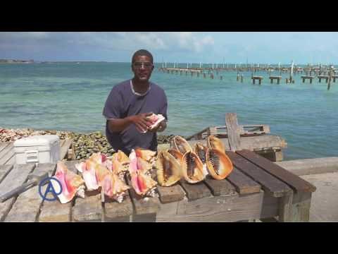 How to blow a conch - Atlantis Bahamas