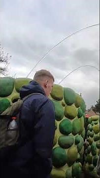 Alice in wonderland maze, Alice curious labyrinth at Disneyland paris