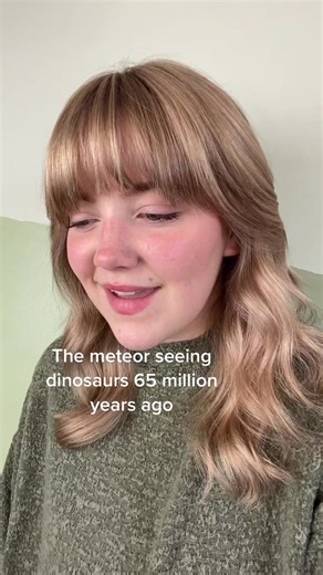 Yucatán Peninsula Meteor and Dinosaurs: A Prehistoric Encounter