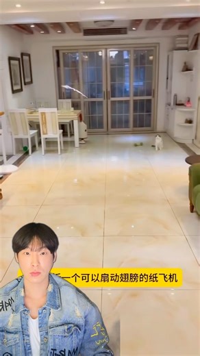 flapping wing air plane paper tutorial