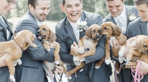 9 good things things that happened around the world this week | Daily Hive | News