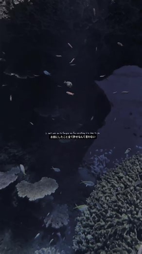 ママに会いたい：感情豊かな海遊館の旅