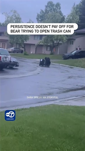 121K views · 1.1K reactions | A bear-proof trash can proved its worth on an Alaskan street recently, frustrating the attempts of a hungry visitor to prise it open. Footage here by Sara Spicer shows the bear pushing the trash can around the street in a futile attempt to open it. “The trash cans here are bear-proof so he proceeded to push the trash can around until he got tired and gave up,” Spicer told Storyful. | ABC 7 Chicago | Facebook