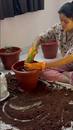 A simple tree planting activity to support nature and keep our surroundings green 🌳