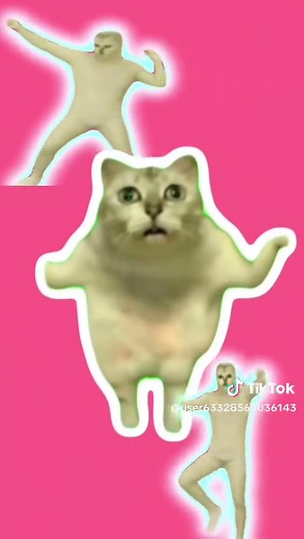 猫ミームと音MADを編集上手くなりたい方法