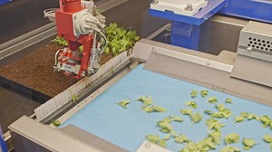 Automated planting process using advanced robot - Free Stock Video