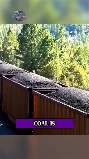 41 reactions | Coal is highly flammable subtance which catches fire easily, to prevent this heat is cooled down by adding water to coal #CoalTransport, #coalcarbon, #highlights2025 Disclaimer no copyright infringement intended | Boss Lifer | Facebook