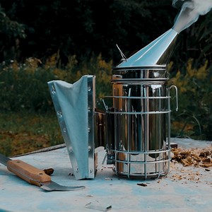 50K views · 198 reactions | Right now, beekeepers all across the USA get to take a break. Their bees are in the hive, eating their stores of honey and living it up. That’s fine by us. They’ve earned it.  | Local Hive Honey | Facebook