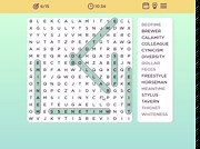 Word Search