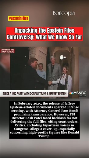 530K views · 7K reactions | Unpacking the Epstein Files Controversy:...