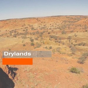 🌍🌱 Today is World Day to Combat Desertification and Drought! With 40% of land already degraded, desertification and drought are critical challenges. Renowned expert Fernando T. Maestre UA - Universitat d'Alacant / Universidad de Alicante is dedicated to understanding dryland ecosystems and their responses to global change. 🌵 His latest ERC-funded project, BIOSHIFT, will use global experiments, field surveys, and advanced tech to: 🔍 Understand the drivers and effects of abrupt ecosystem shift