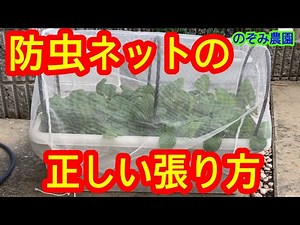 [Insect netting] We will explain the correct way to hang insect netting to keep insects away.