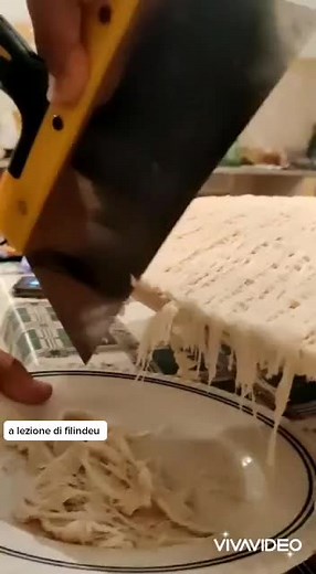 Luca Floris su TikTok