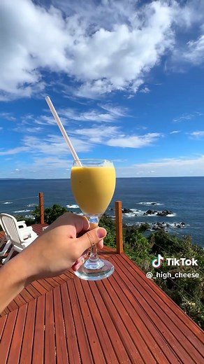 屋久島の美しい自然を堪能しよう