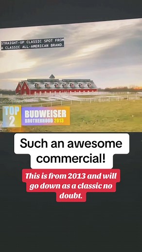 Budweiser Clydesdale Farting Horse Commercial