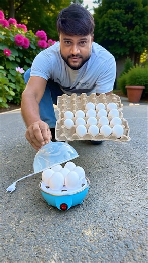 400 Watts Electric Egg Boiler Machine Unboxing