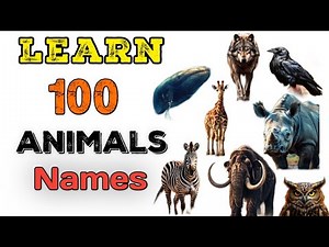 100 animals of the worlds|| learn the names of 100 animals