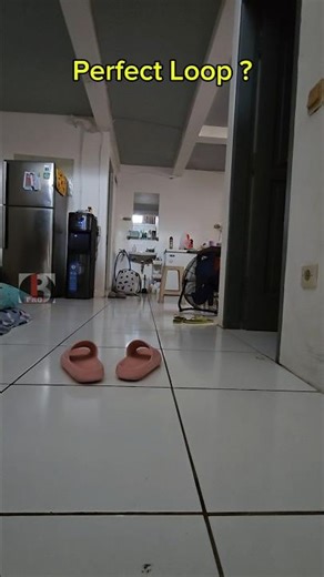 This Is the Most Satisfying Perfect Loop Ever 😳✨ #shorts