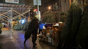 Christmas tree time. NYC. | Cady McClain