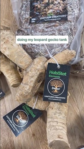 New Leopard Gecko Tank In Progress!