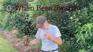 2.7M views · 29K reactions | Am I wrong? Tell me. Something...